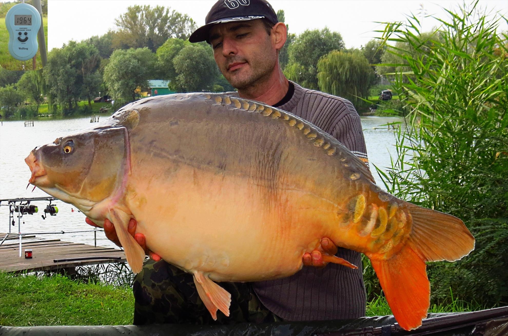 Palici Sep.2014 - 004-img6168-018-oglinda-1964-kg-m.JPG